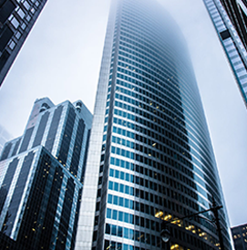 Haringey Community Gold Future Leaders